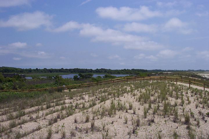 C_M 046.jpg